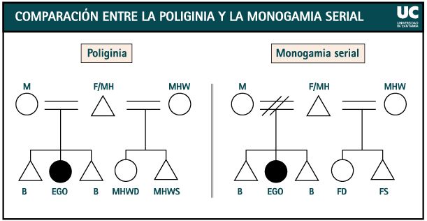 poligina(2)