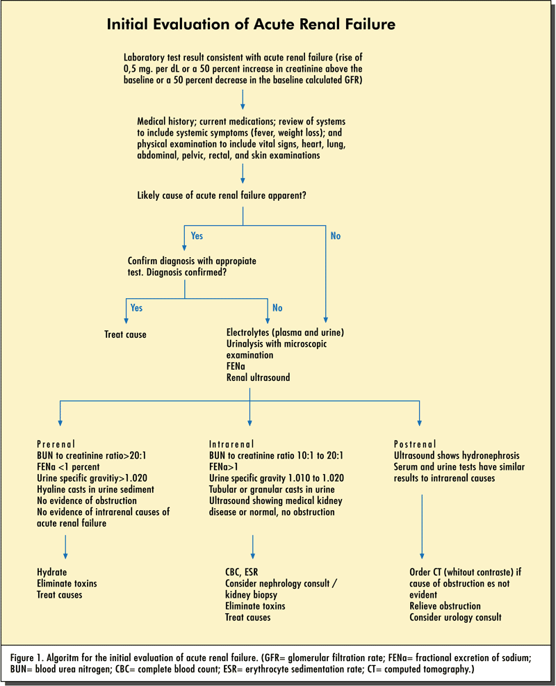 Esquema de la evaluación inicial de la insuficiencia renal aguda (Needham, 2005)