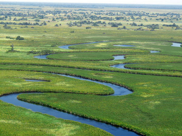 4,-Botswana,-Delta-del-Okavango