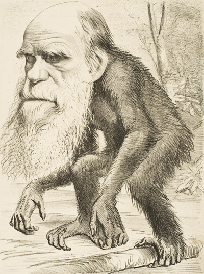 22,-Editorial_cartoon_depicting_Charles_Darwin_as_an_ape_(18