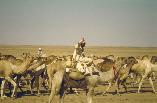 caravana-Nubia,-1