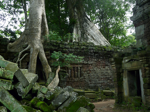 136,-Angkor,-Ta-Prohm
